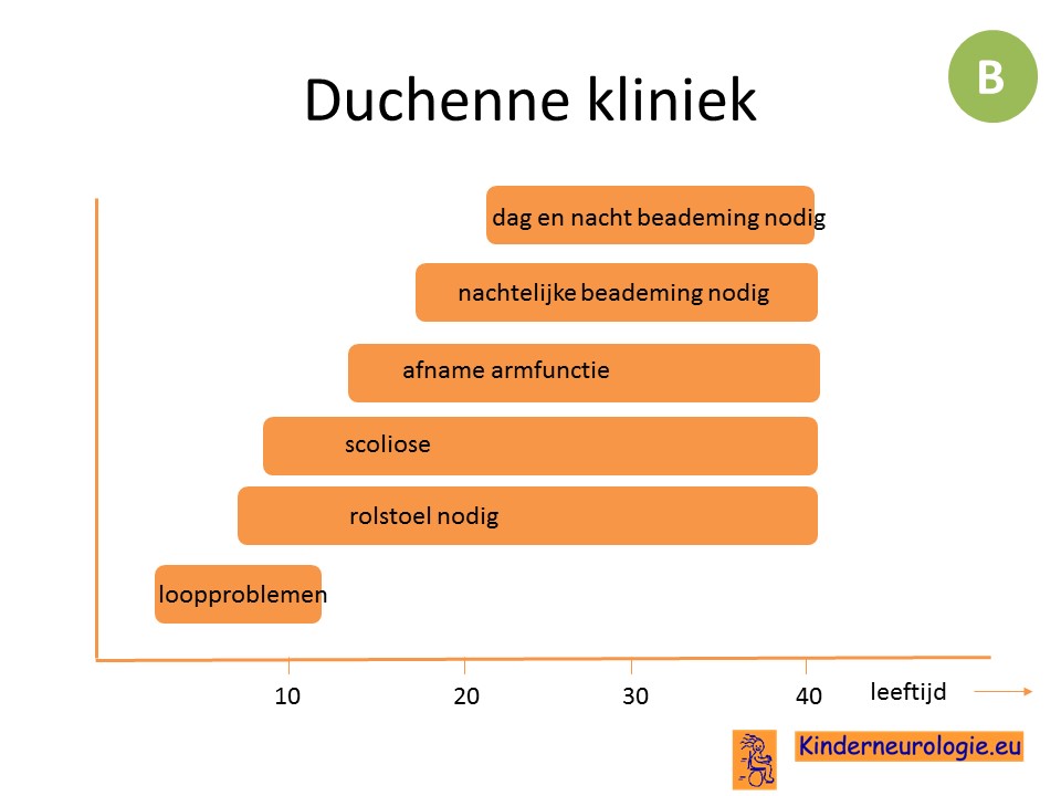 duchenne 3